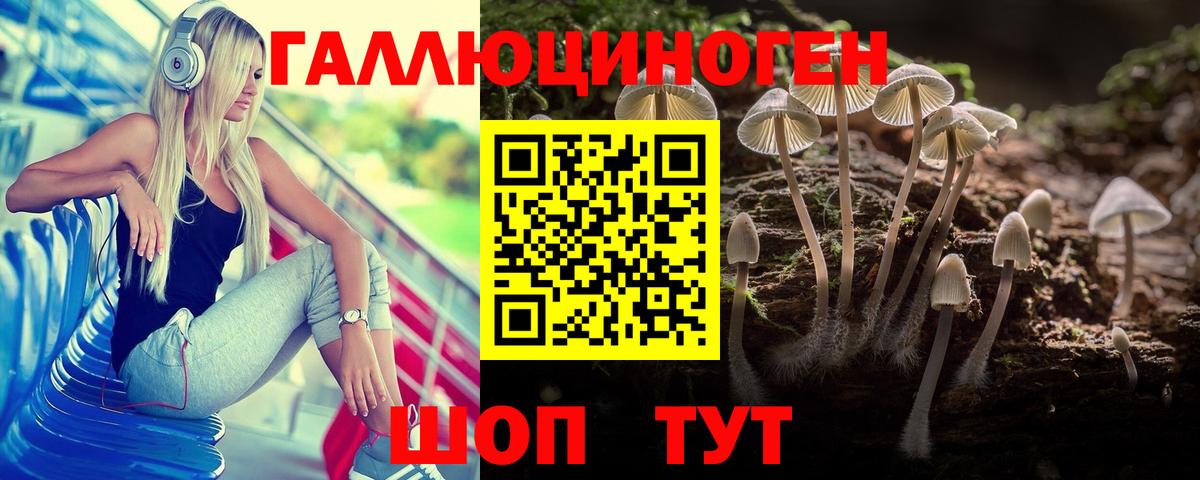 Нижний Новгород  Галлюциногенные грибы Psilocybe  Вход с VPN 